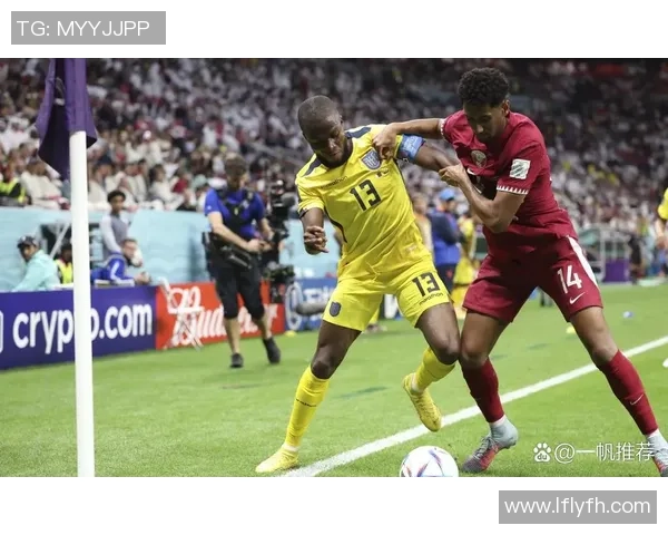 巴西与厄瓜多尔足球对决分析及赛前预测详解